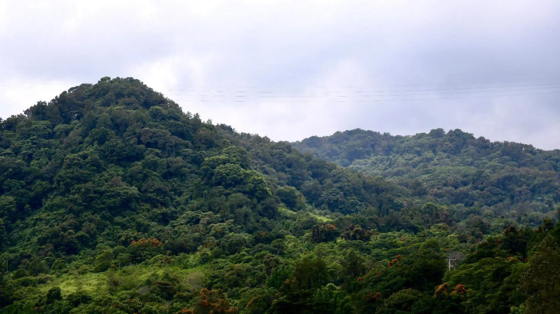 Jilotepec | Área Natural Protegida